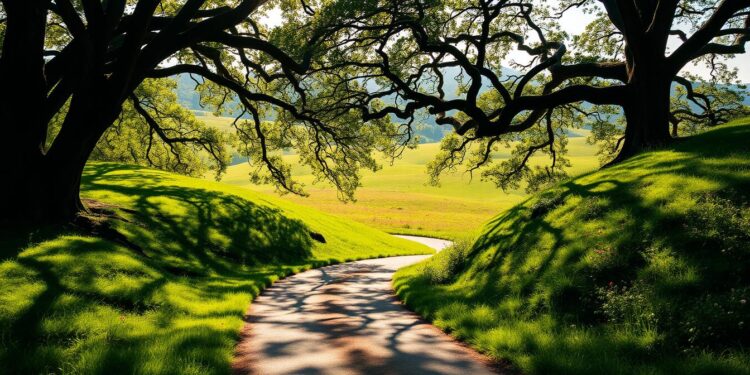 how far you’ve come, even if you forgot to notice
